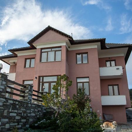 Vasilitsa Rooms Smixi Buitenkant foto